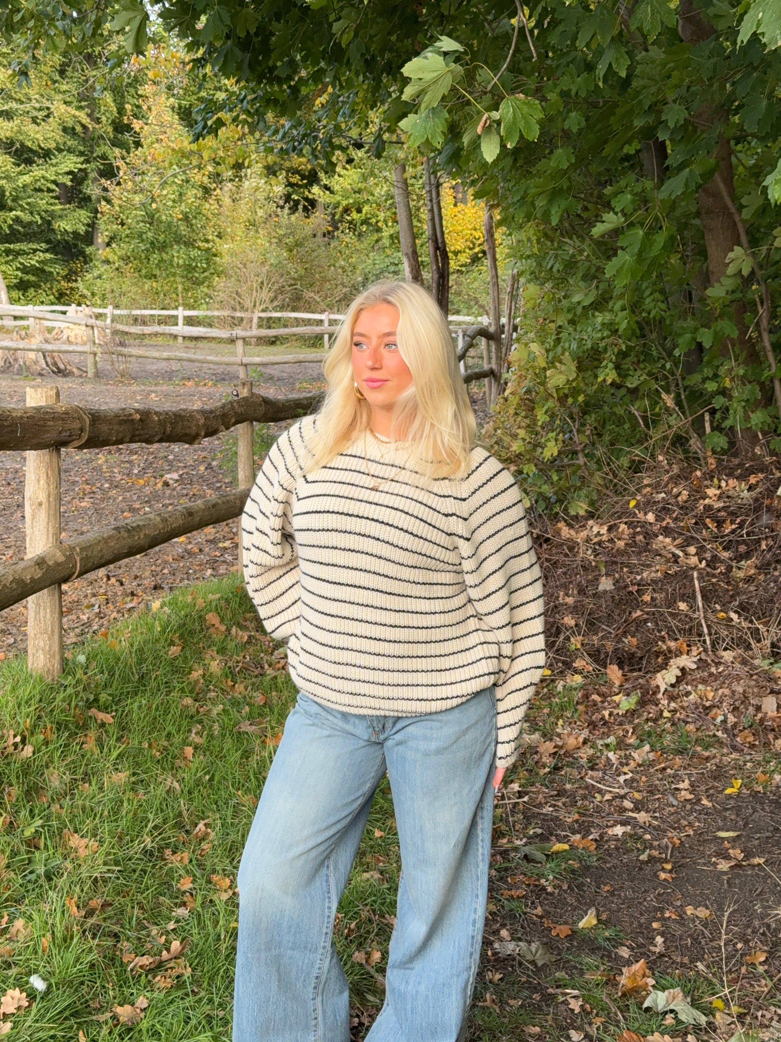 Calva striktrøje med striber - Beige/sort - Image 3